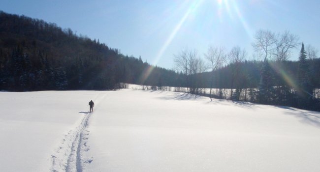 Ski de fond